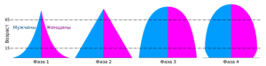 Половозрастные пирамиды.png