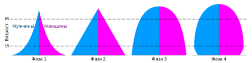 Половозрастные пирамиды.png